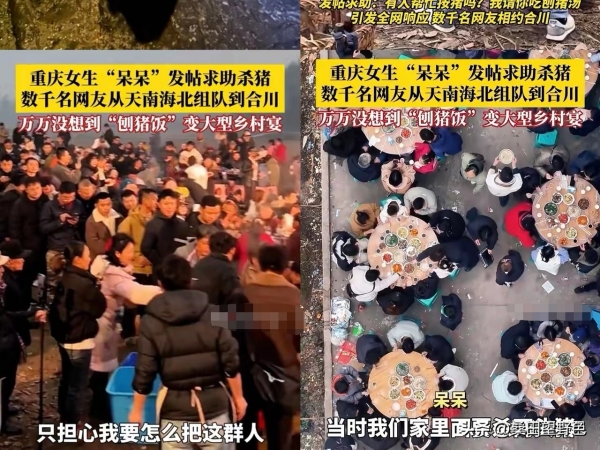 了一场杀猪宴惊动半个重庆！听听老师咋说的